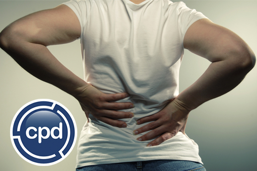 back ache summ.jpg